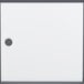 A white square with a black circle.