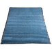 A blue carpet entrance floor mat with a black border.