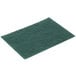 A 3M green Scotch-Brite scouring pad.