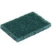 A 3M Scotch-Brite green scouring pad.