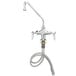 A T&S chrome deck-mounted pantry faucet with a hose attached.