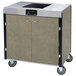 A large metal cart with a Lakeside induction burner on a counter.