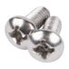 A close-up of two stainless steel screws.