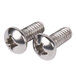 A close-up of two stainless steel screws.