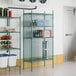 A Regency green wire security cage with shelves.