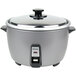 Panasonic SR-GA42PL 37 Cup (23 Cup Raw) Electric Rice Cooker - 120V