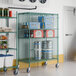 A Regency green wire security cage kit on wheels with shelves.