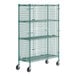 A Regency green wire security cage kit on wheels.