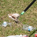 a plastic bottle in the grass