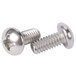 A close-up of two stainless steel screws.