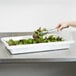 A person using a knife to cut lettuce into a white Carlisle food storage box.