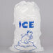 A clear plastic drawstring ice bag with a polar bear logo.