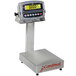 Cardinal Detecto EB-300-190 300 lb. Electronic Bench Scale with 190 Indicator, Legal for Trade