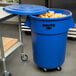 A blue Rubbermaid BRUTE trash can full of potatoes.