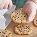 A person in plastic gloves holding a chocolate chip cookie.