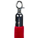 A red Aarco stanchion rope with chrome ends.