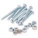 A group of screws and nuts on a white background.