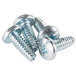 A close-up of several Wolf stainless steel screws.