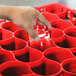 A hand holding a glass in a red Carlisle glass rack container.