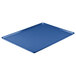 a blue rectangular tray on a white background
