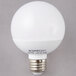 A Satco frosted warm white LED globe light bulb with a silver base.