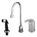 A T&S chrome single lever faucet with a sidespray.