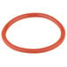 An orange rubber o-ring with a red circle on a white background.