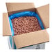 A 20-pound box of dried pink beans with a blue plastic liner.