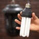 A hand holding a Lavex Zap N Trap UV insect zapper bulb.