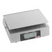 A silver Tor Rey digital price computing scale.