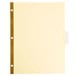 A white sheet of paper with yellow trim and holes in it.