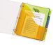 A white binder with Avery Multi-Color Plastic Insertable Tab Dividers.