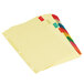 A group of files with Universal multi-color insertable tabs.