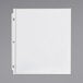 A white sheet of paper in a clear file with holes.