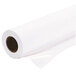 Epson S042076 16 1/2 inch x 100' White Premium Glossy Photo Paper Roll
