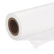 Epson S042075 16 1/2 inch x 100' White Premium Semi-Gloss Photo Paper Roll