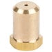 A gold metal cylinder with a brass threaded nut.