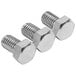 A set of three stainless steel hexagon head screws.