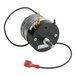 A modular 120-volt timer with a cylindrical body, electrical terminals, and a protruding shaft, used for Southbend equipment.