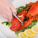 A hand using a Choice zinc plated lobster cracker to crack a lobster claw.