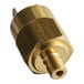 A gold metal pressure switch with a gold connector and nut.