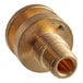 A brass Cleveland steam supply fitting with a nut.