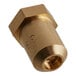 A close-up of a brass threaded nut on a brass orifice.