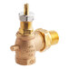 A brass Cleveland steam valve with a plated nut.