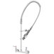 A T&S chrome pre-rinse faucet with a flexible hose.
