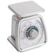 A silver Taylor TS5 mechanical portion scale with a white dial.