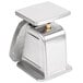 A silver metal Taylor TS5 Mechanical Portion Scale with a square lid.