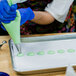 A person in a blue glove using an Ateco Plain Piping Tip to pipe green pastry.