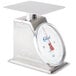 An Edlund heavy-duty portion scale with a white dial and platform.