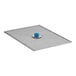 A metal grid with a blue button on top.
